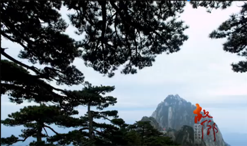 《一生只为一事来》